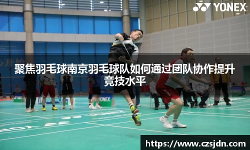 聚焦羽毛球南京羽毛球队如何通过团队协作提升竞技水平