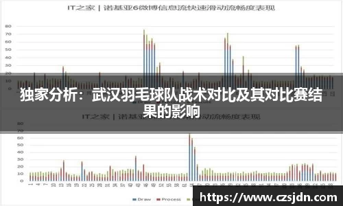 独家分析：武汉羽毛球队战术对比及其对比赛结果的影响