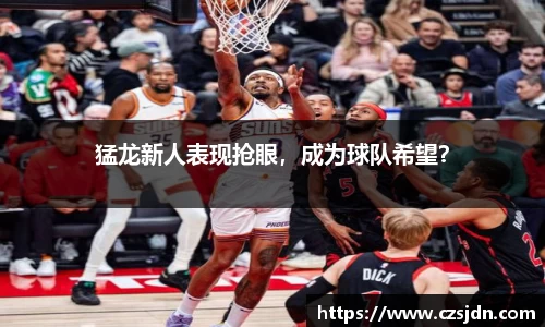 猛龙新人表现抢眼，成为球队希望？