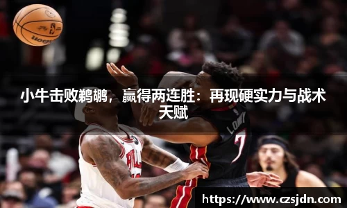 小牛击败鹈鹕，赢得两连胜：再现硬实力与战术天赋