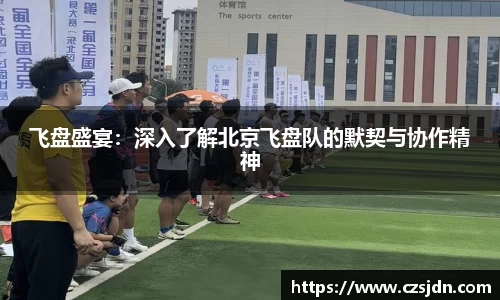 飞盘盛宴：深入了解北京飞盘队的默契与协作精神