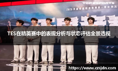 TES在精英赛中的表现分析与状态评估全景透视