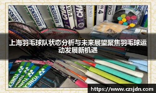 上海羽毛球队状态分析与未来展望聚焦羽毛球运动发展新机遇